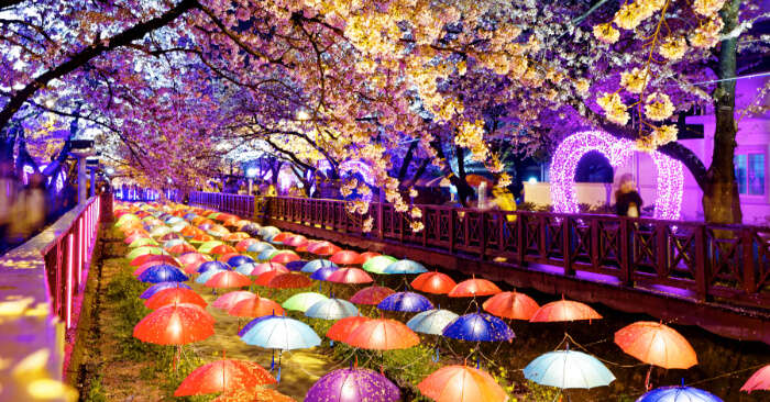 Top 10 Things To Do In South Korea To Witness Its Colorful Ambience